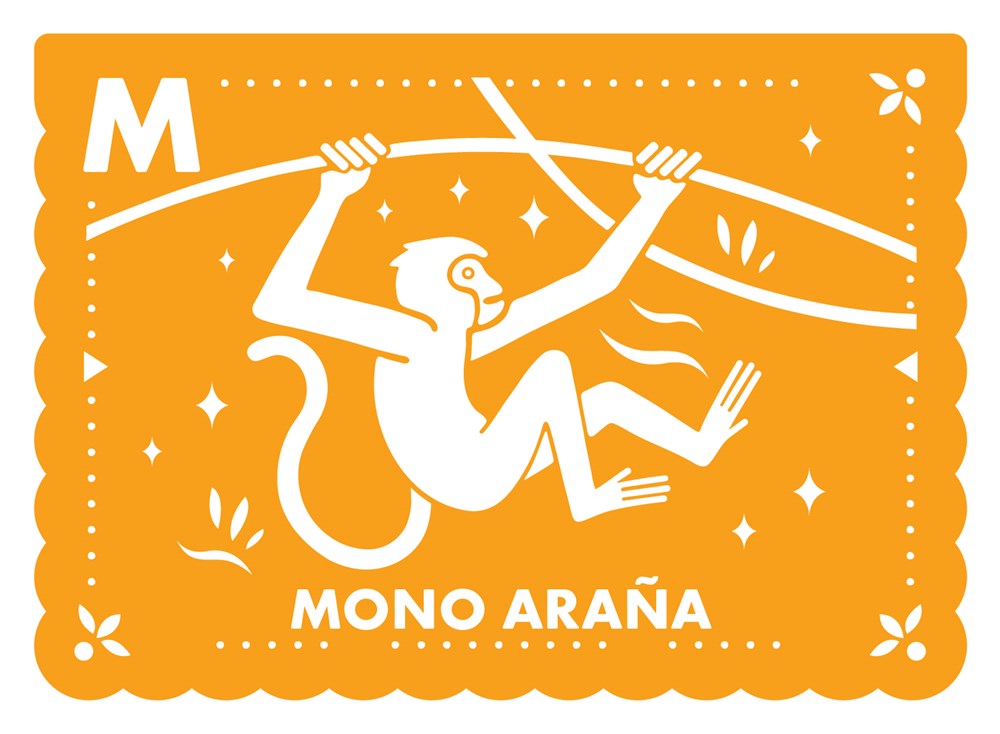 Spanish-English ABC Flash Cards: 27 Bilingual Alphabet Flash Cards Featuring Latin American Animals in a Papel Picado Design (Sí Sabo Kids)